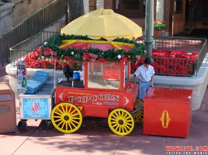 Magic Kingdom Popcorn Cart